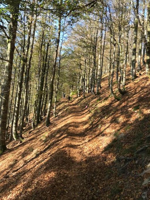 La Magie Entre Deux Lacs Gérardmer Kültér fotó
