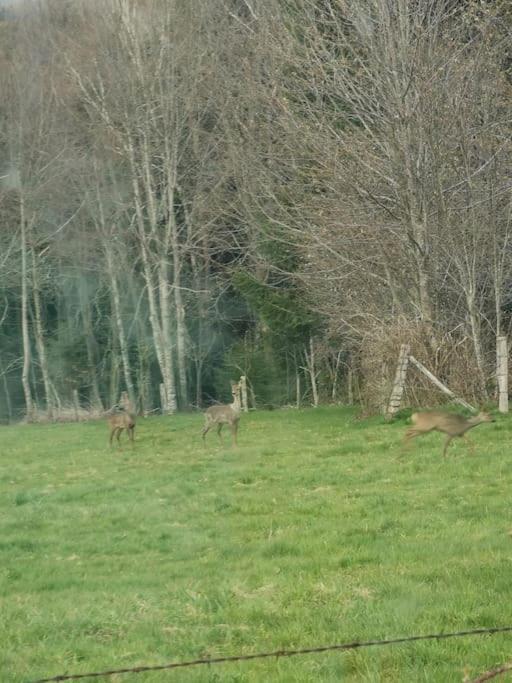 La Magie Entre Deux Lacs Gérardmer Kültér fotó