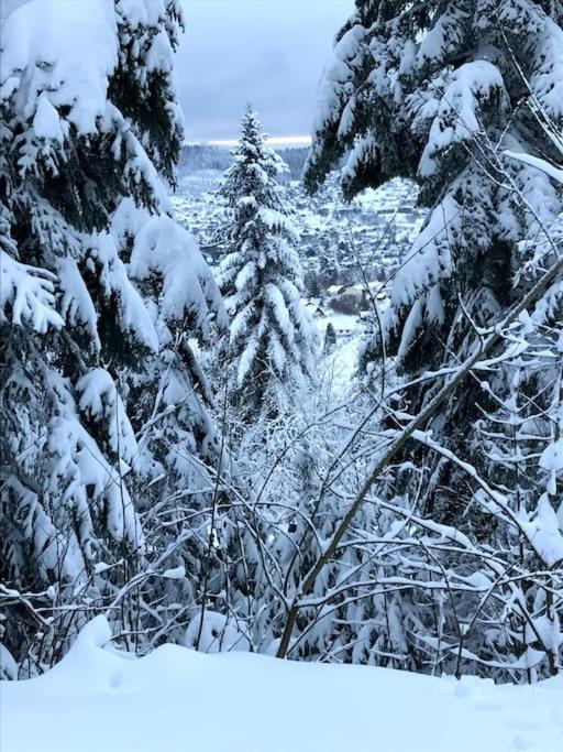 La Magie Entre Deux Lacs Gérardmer Kültér fotó