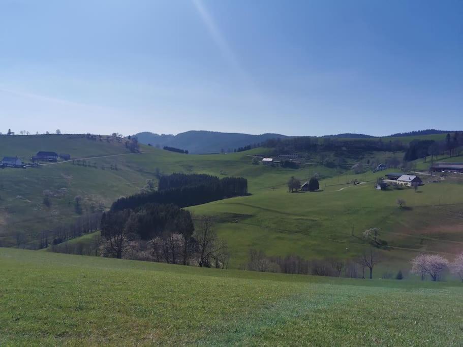 La Magie Entre Deux Lacs Gérardmer Kültér fotó